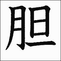 漢字「胆」の教科書体イメージ