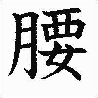漢字「腰」の教科書体イメージ