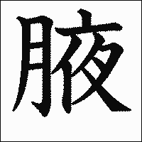 漢字「腋」の教科書体イメージ