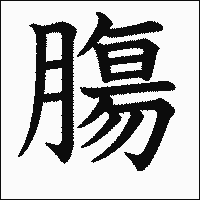 漢字「膓」の教科書体イメージ