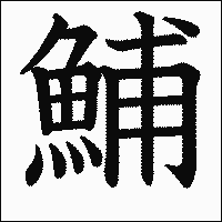 漢字「鯆」の教科書体イメージ