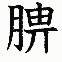 漢字「腗」の教科書体イメージ