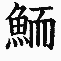 漢字「鮞」の教科書体イメージ