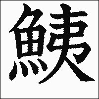 漢字「鮧」の教科書体イメージ