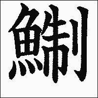 漢字「鯯」の教科書体イメージ
