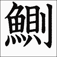 漢字「鰂」の教科書体イメージ