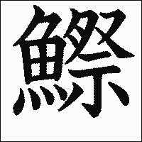漢字「鰶」の教科書体イメージ