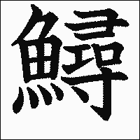 漢字「鱘」の教科書体イメージ