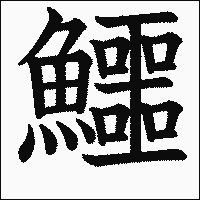 漢字「鱷」の教科書体イメージ
