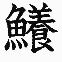 漢字「鱶」の教科書体イメージ