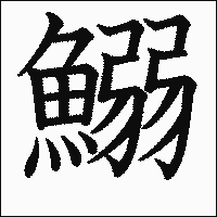 漢字「鰯」の教科書体イメージ