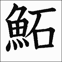 漢字「鮖」の教科書体イメージ