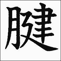 漢字「腱」の教科書体イメージ