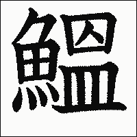 漢字「鰮」の教科書体イメージ