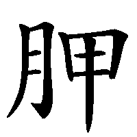 漢字「胛」の筆順(書き順)解説アニメーション