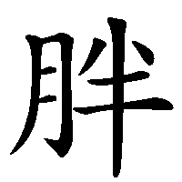 漢字「胖」の筆順(書き順)解説アニメーション
