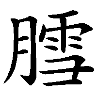 漢字「膤」の筆順(書き順)解説アニメーション
