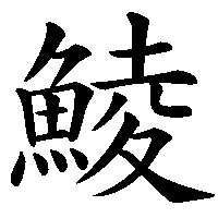 漢字「鯪」の筆順(書き順)解説アニメーション