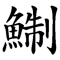 漢字「鯯」の筆順(書き順)解説アニメーション