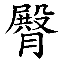 漢字「臀」の筆順(書き順)解説アニメーション
