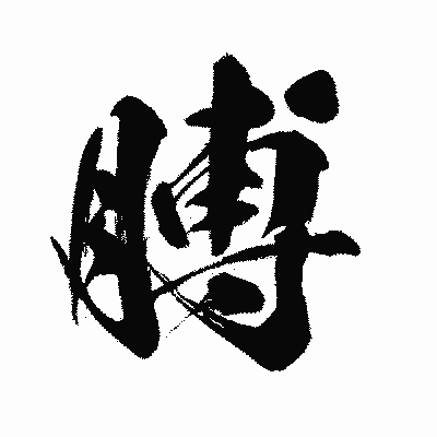 漢字「膊」の闘龍書体画像