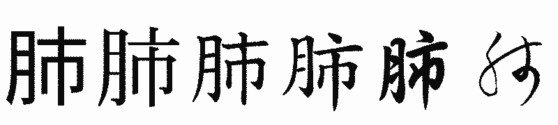 漢字「肺」の書体比較