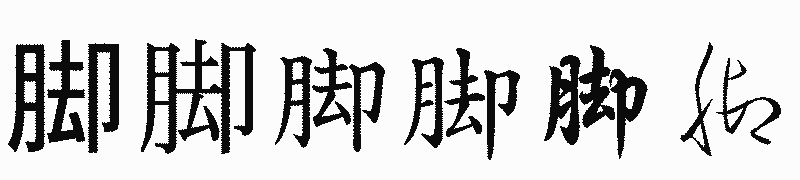 漢字「脚」の書体比較