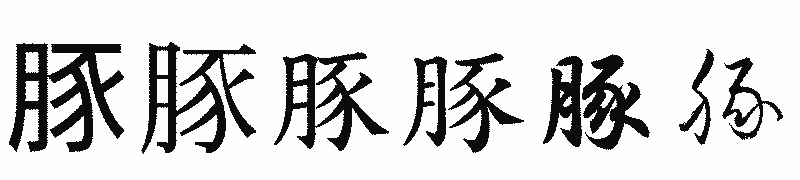 漢字「豚」の書体比較