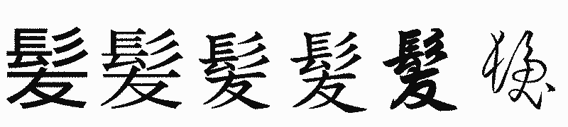 漢字「髪」の書体比較