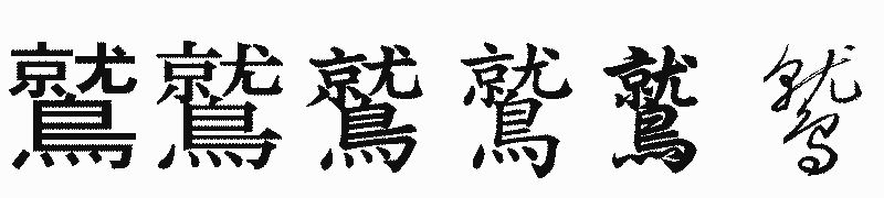 漢字「鷲」の書体比較