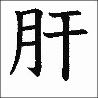 漢字「肝」の教科書体イメージ