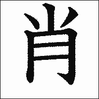 漢字「肖」の教科書体イメージ