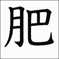 漢字「肥」の教科書体イメージ