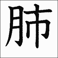 漢字「肺」の教科書体イメージ