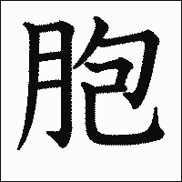 漢字「胞」の教科書体イメージ