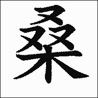 漢字「桑」の教科書体イメージ