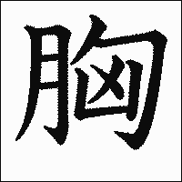 漢字「胸」の教科書体イメージ