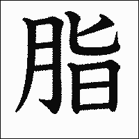 漢字「脂」の教科書体イメージ
