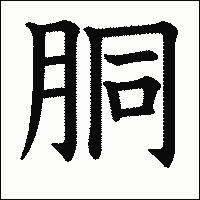 漢字「胴」の教科書体イメージ