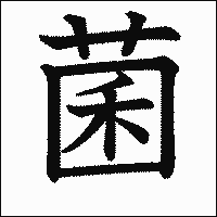 漢字「菌」の教科書体イメージ