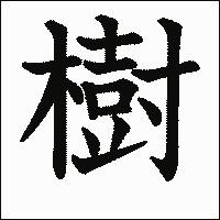 漢字「樹」の教科書体イメージ