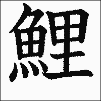 漢字「鯉」の教科書体イメージ