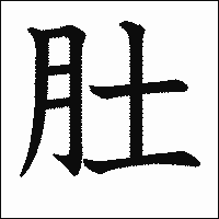 漢字「肚」の教科書体イメージ