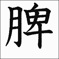 漢字「脾」の教科書体イメージ