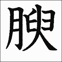 漢字「腴」の教科書体イメージ
