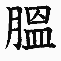 漢字「膃」の教科書体イメージ