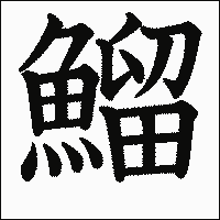 漢字「鰡」の教科書体イメージ