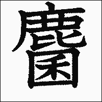 漢字「麕」の教科書体イメージ