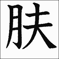 漢字「肤」の教科書体イメージ