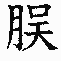 漢字「脵」の教科書体イメージ